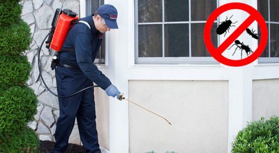 Karşıyaka Kene İlaçlama böcek ilaçlama ve haşere kontrolü — ilaclama-tr.com
